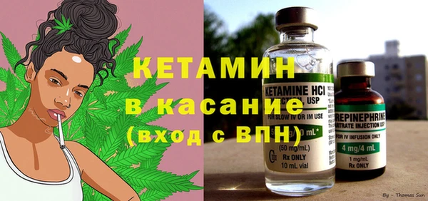 шишки Абаза