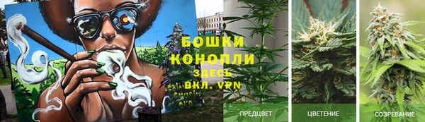 MDMA Premium VHQ Аркадак