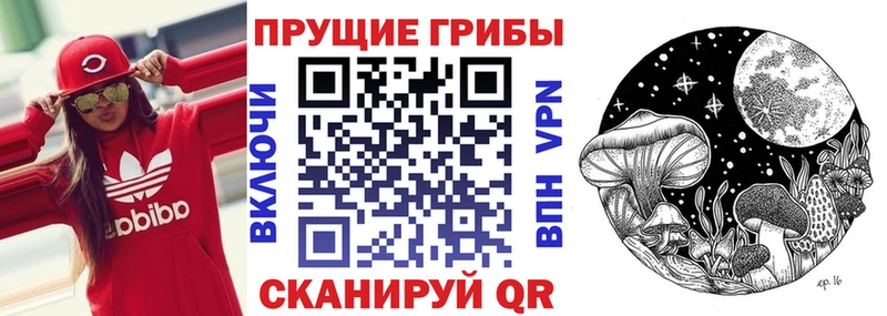 KRAKEN как войти  Сургут  Галлюциногенные грибы ЛСД 